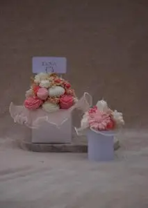 BRIANNA [REG] & [MCR]